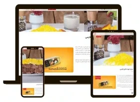 طراحی سایت حرفه ای